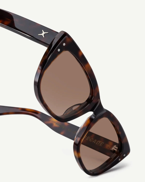 DECADE - COOPER - TORTOISE