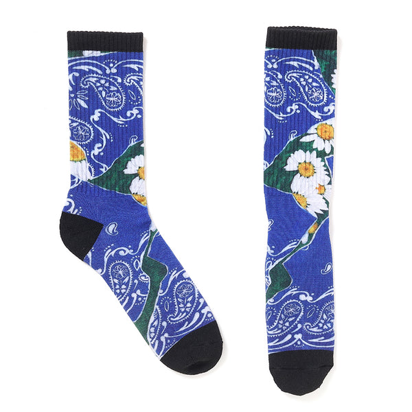 CHALLENGER - DAISY SOCKS - BLUE