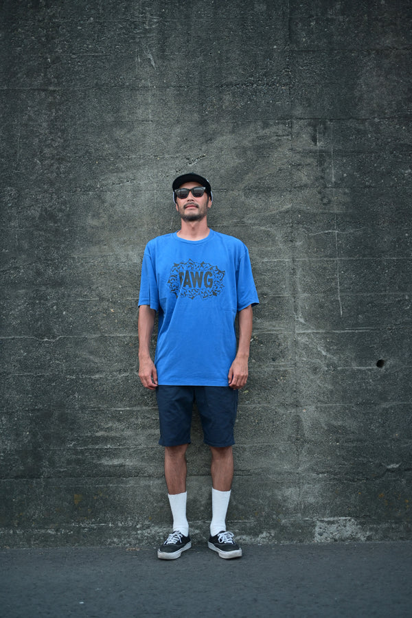 PAWG - HWY Skulls TEE - Faded Royal