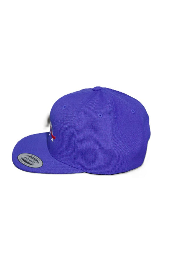 melple - TRUCKER CAP - CA - LA BLUE