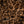 BLUCO - REVERSIBLE FAR VEST - LEOPARD-BLACK