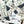 TOWNCRAFT -  PRINTED LOOP COLLAR SS SHIRT - DOLLAR