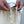 CHALLENGER - AUTHENTIC SHORTS - IVORY