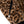 BLUCO - REVERSIBLE FAR VEST - LEOPARD-BLACK