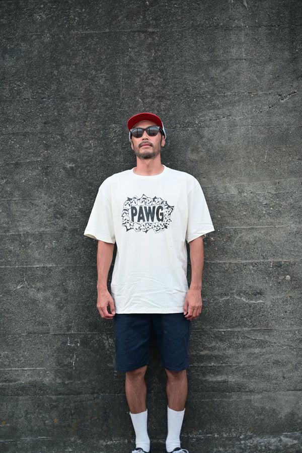 PAWG - HWY Skulls TEE - Faded White