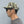 CYCLE ZOMBIES -  LOGO CAP  -  CAMOUFLAGE PATTERN
